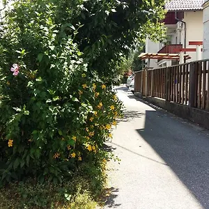 Sunflower Lubiana