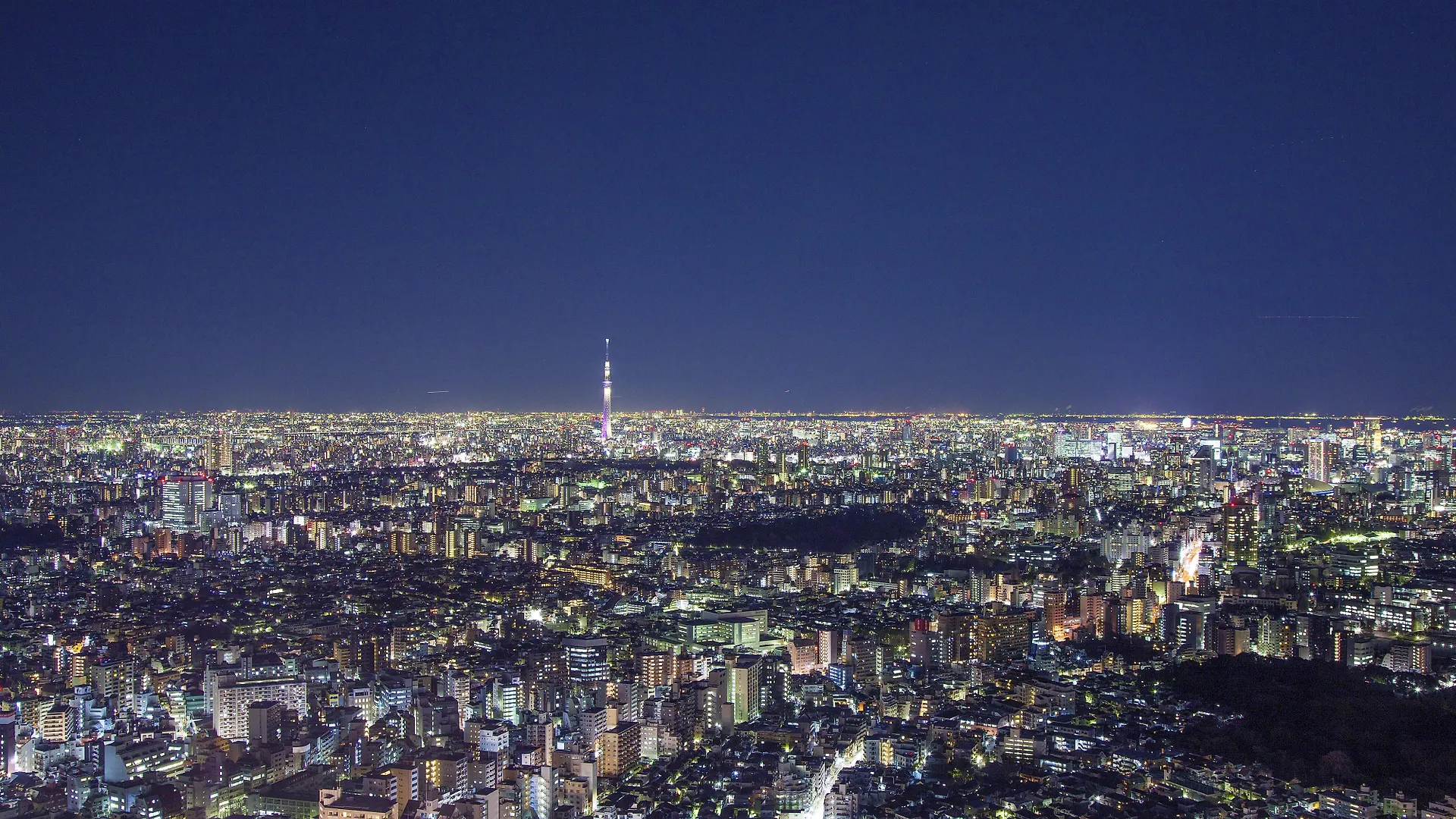 ***  ホテル ウイング インターナショナル セレクト池袋 東京都 日本